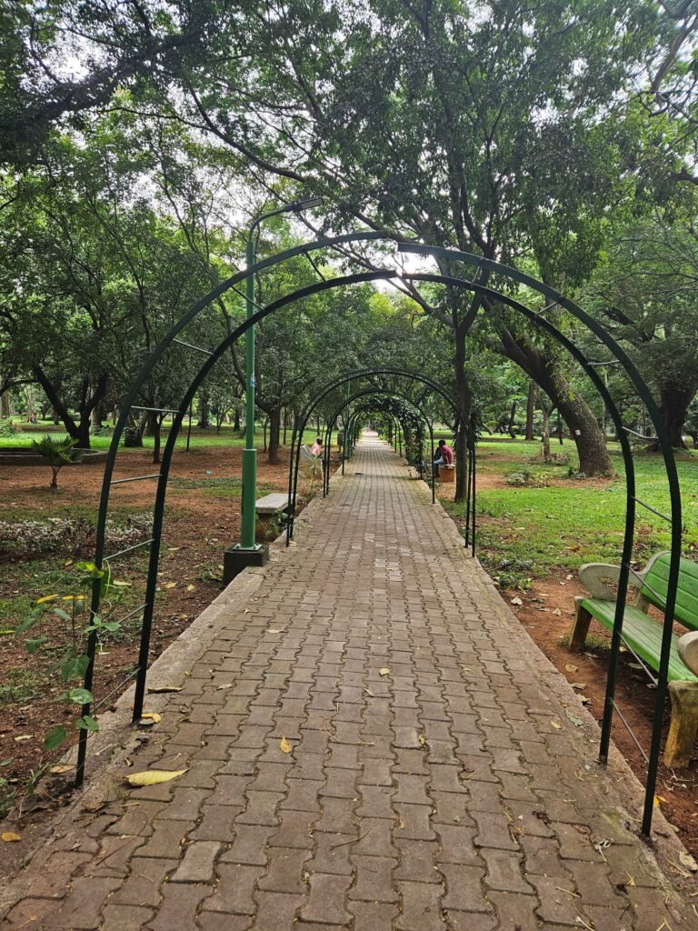 cubbon park nature